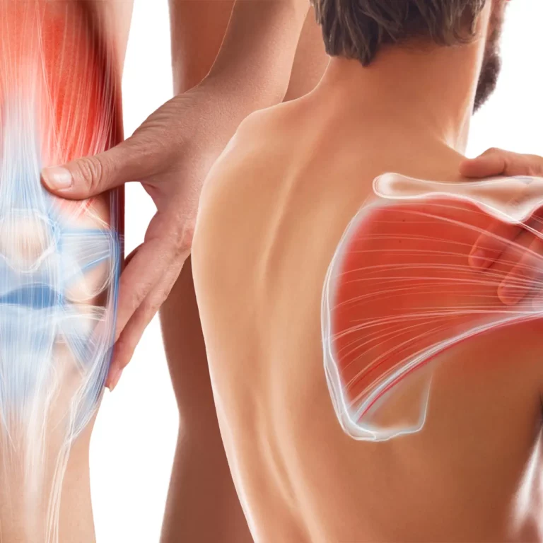 Coiffe des rotateurs et tendon patellaire